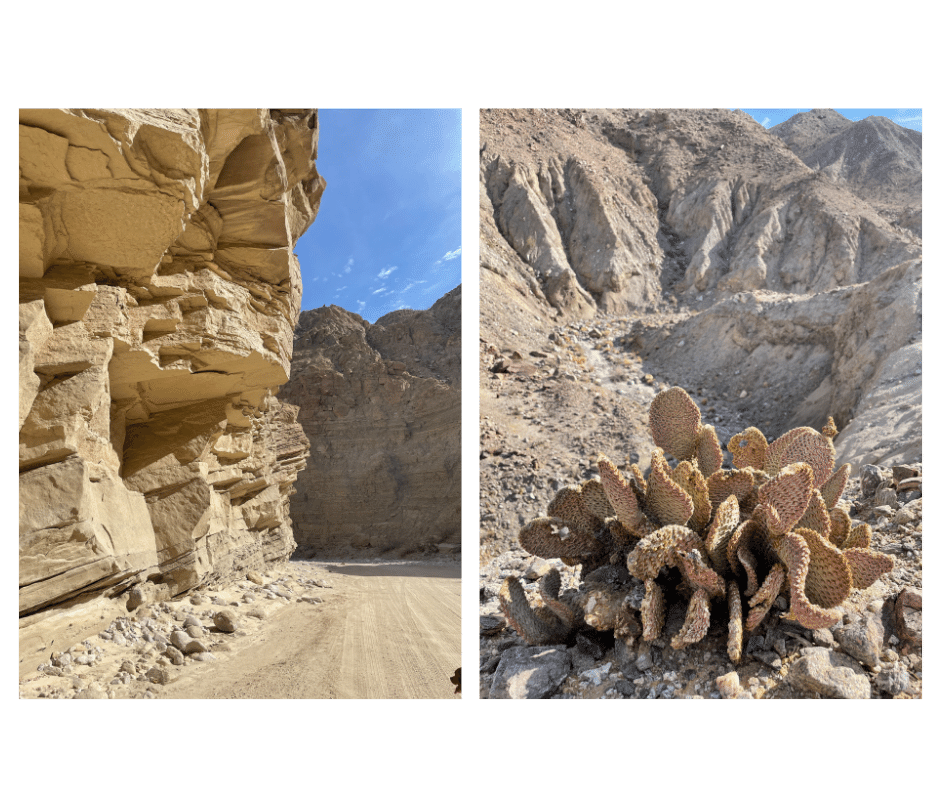 Off Roading in the trails of Anza Borrego